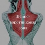 картинка услуги Шейно-воротниковый зоны