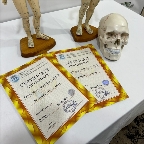 картинка услуги Остеопластика
